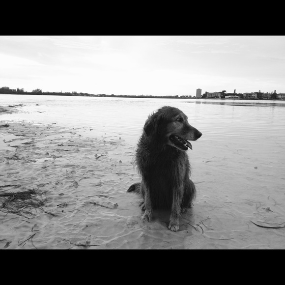 Meet the Posher - Picture 6 of 8